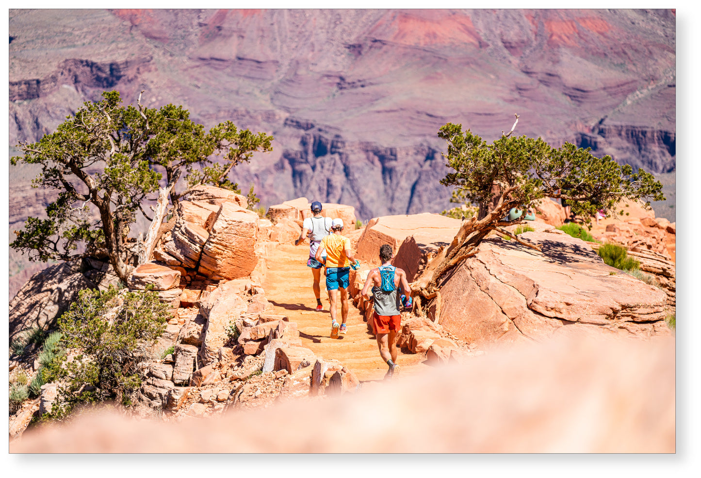 Cedar Ridge, Grand Canyon - Tom Evans, Hayden Hawks, and Daniel Jones on a Grand Canyon training run for the Western States 2023 - Photo: Derrick Lytle